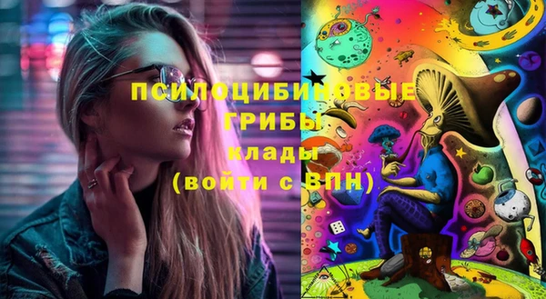 гидропоника Алзамай