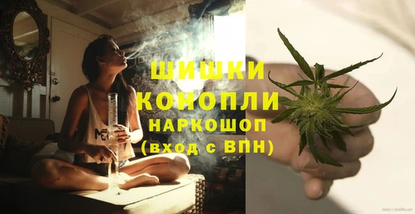 гидропоника Алзамай