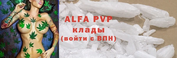 гидропоника Алзамай