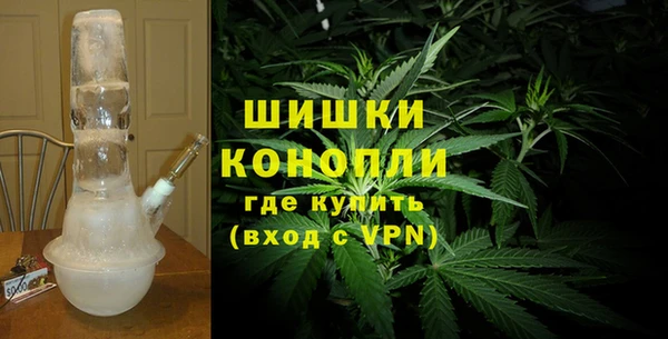 гидропоника Алзамай